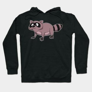 Raccoon Hoodie